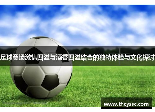 足球赛场激情四溢与酒香四溢结合的独特体验与文化探讨