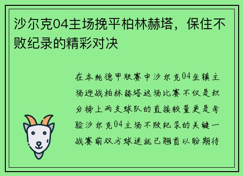 沙尔克04主场挽平柏林赫塔，保住不败纪录的精彩对决